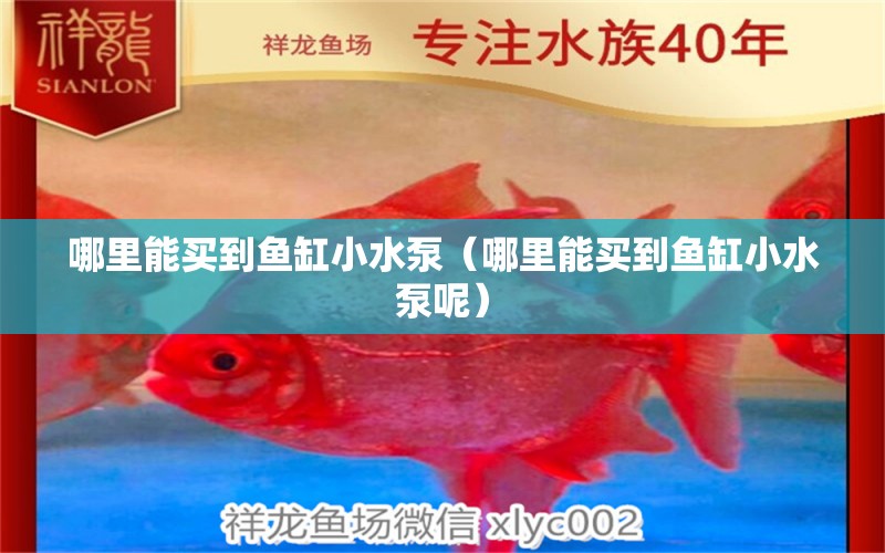 哪里能買到魚缸小水泵（哪里能買到魚缸小水泵呢）