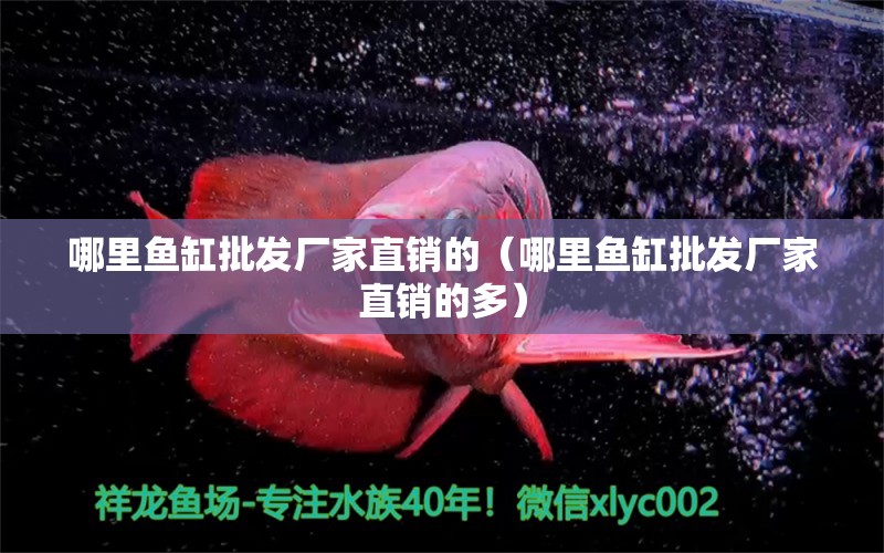 哪里魚缸批發(fā)廠家直銷的（哪里魚缸批發(fā)廠家直銷的多） 其他品牌魚缸