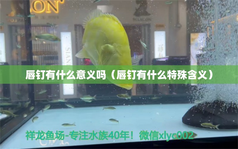 唇釘有什么意義嗎（唇釘有什么特殊含義） 大正錦鯉魚