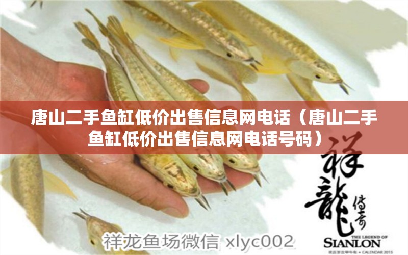 唐山二手魚(yú)缸低價(jià)出售信息網(wǎng)電話(huà)（唐山二手魚(yú)缸低價(jià)出售信息網(wǎng)電話(huà)號(hào)碼）