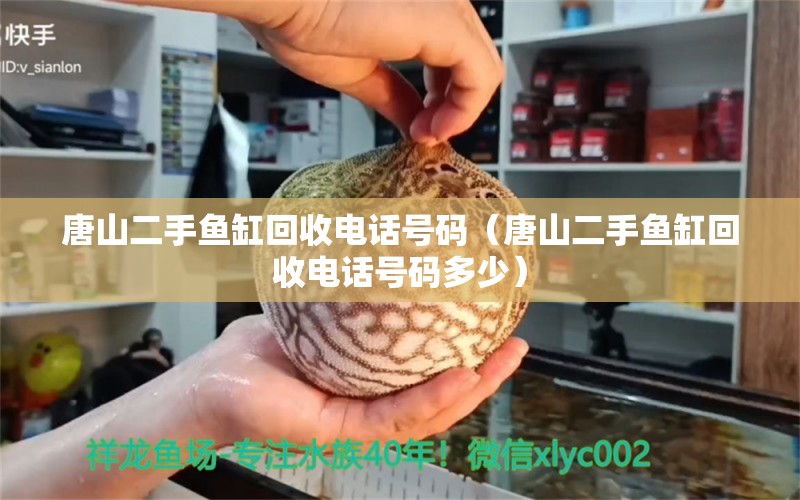 唐山二手魚缸回收電話號(hào)碼（唐山二手魚缸回收電話號(hào)碼多少） 七紋巨鯉魚