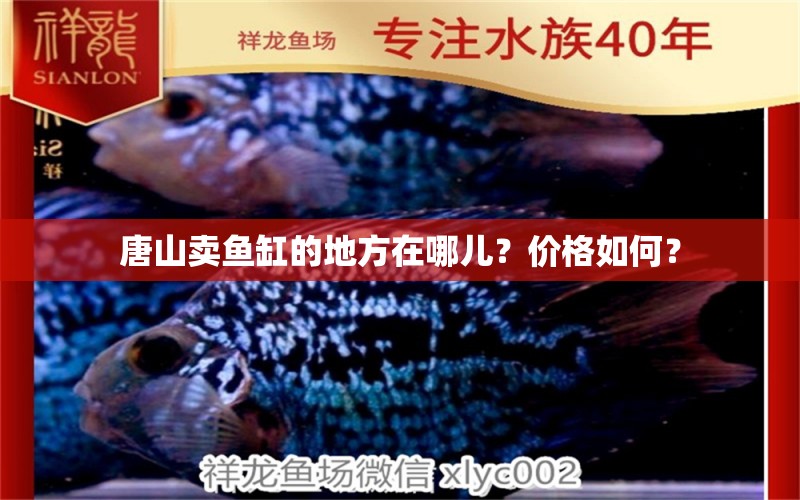 唐山賣魚(yú)缸的地方在哪兒？?jī)r(jià)格如何？ 祥龍水族護(hù)理水