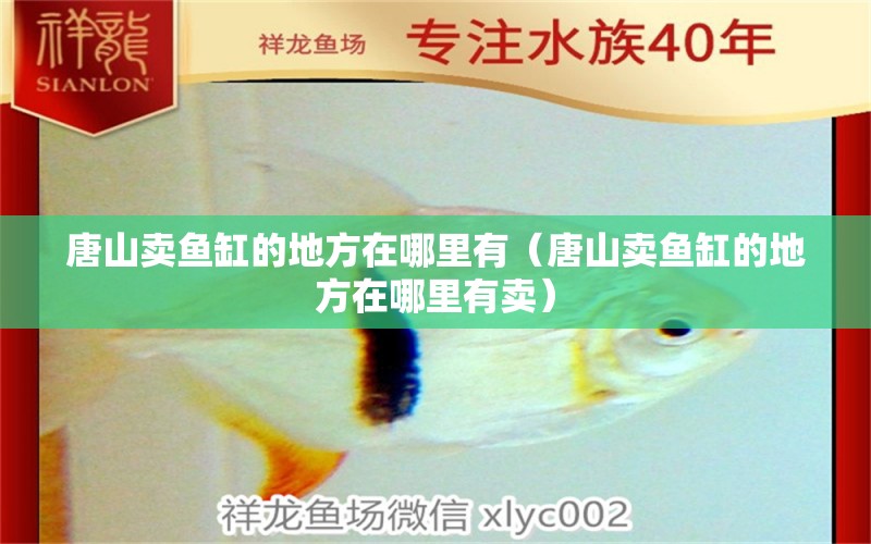 唐山賣魚缸的地方在哪里有（唐山賣魚缸的地方在哪里有賣）