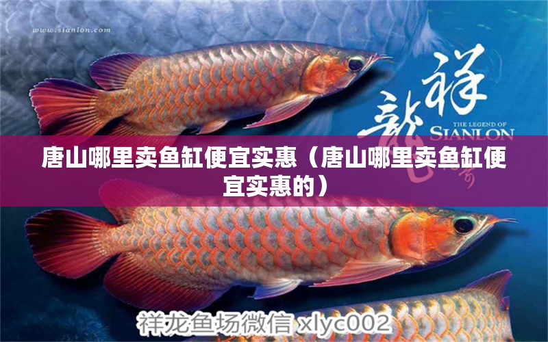 唐山哪里賣魚缸便宜實惠（唐山哪里賣魚缸便宜實惠的）