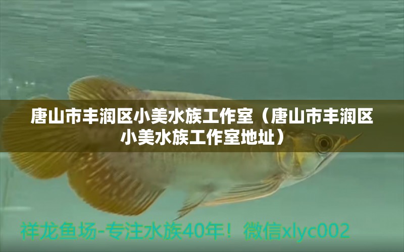 唐山市豐潤區(qū)小美水族工作室（唐山市豐潤區(qū)小美水族工作室地址）