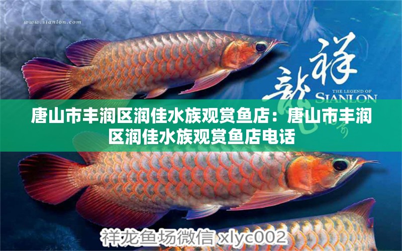 唐山市豐潤區(qū)潤佳水族觀賞魚店：唐山市豐潤區(qū)潤佳水族觀賞魚店電話