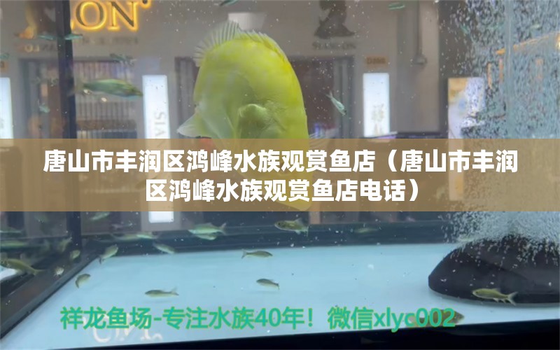 唐山市豐潤區(qū)鴻峰水族觀賞魚店（唐山市豐潤區(qū)鴻峰水族觀賞魚店電話）