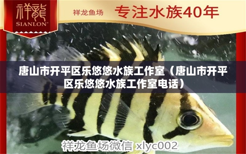 唐山市開平區(qū)樂(lè)悠悠水族工作室（唐山市開平區(qū)樂(lè)悠悠水族工作室電話）