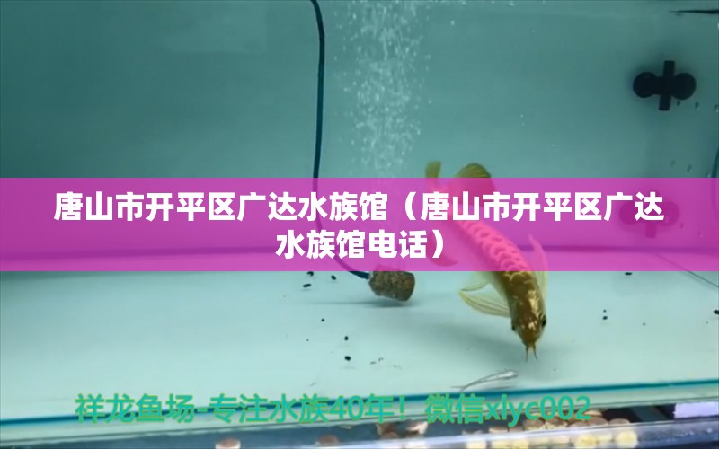 唐山市開平區(qū)廣達水族館（唐山市開平區(qū)廣達水族館電話）