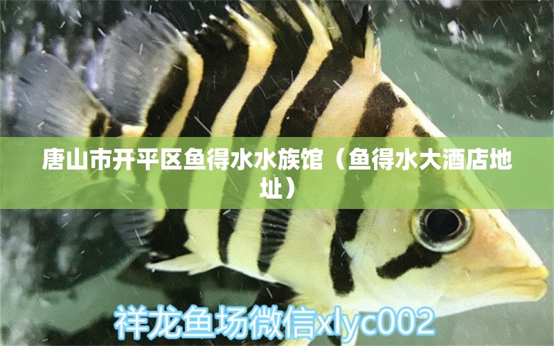 唐山市開平區(qū)魚得水水族館（魚得水大酒店地址）