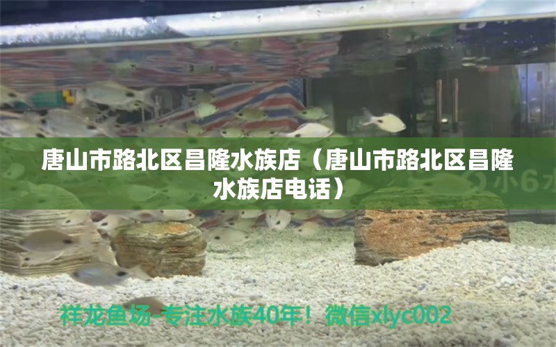 唐山市路北區(qū)昌隆水族店（唐山市路北區(qū)昌隆水族店電話） 全國水族館企業(yè)名錄