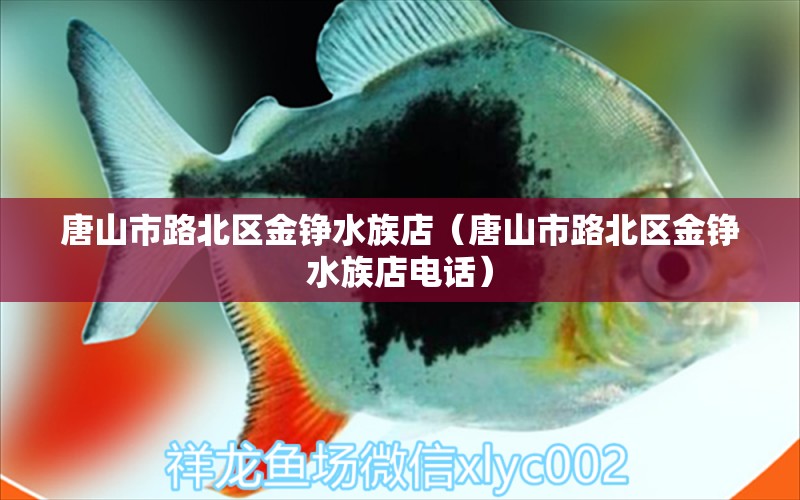 唐山市路北區(qū)金錚水族店（唐山市路北區(qū)金錚水族店電話）