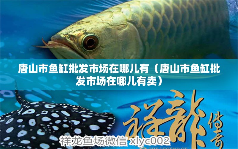 唐山市魚缸批發(fā)市場在哪兒有（唐山市魚缸批發(fā)市場在哪兒有賣） 祥龍水族醫(yī)院