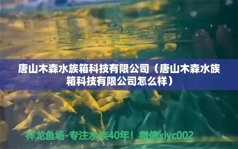 唐山木森水族箱科技有限公司（唐山木森水族箱科技有限公司怎么樣）