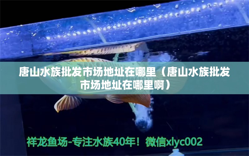 唐山水族批發(fā)市場地址在哪里（唐山水族批發(fā)市場地址在哪里?。?觀賞魚水族批發(fā)市場