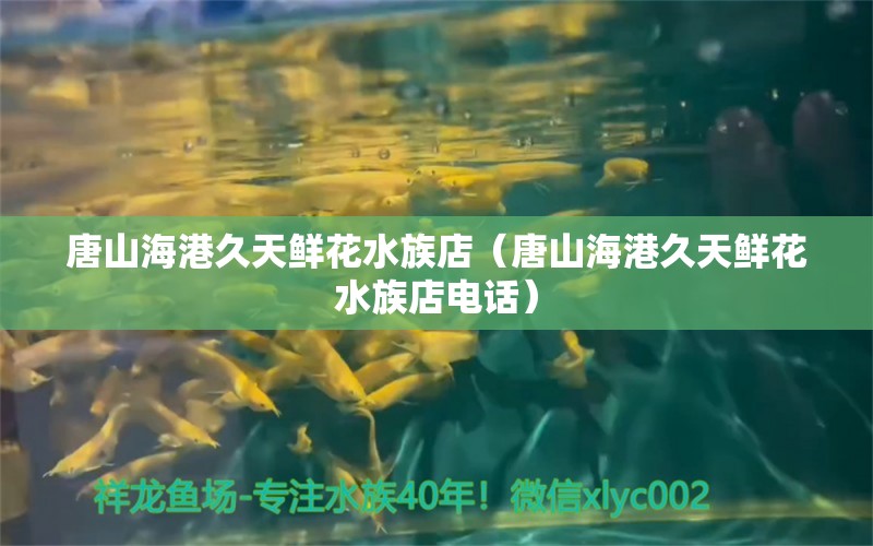 唐山海港久天鮮花水族店（唐山海港久天鮮花水族店電話） 全國水族館企業(yè)名錄