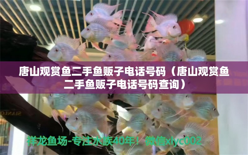 唐山觀賞魚二手魚販子電話號(hào)碼（唐山觀賞魚二手魚販子電話號(hào)碼查詢）