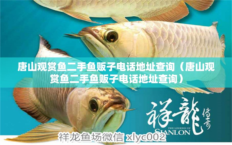 唐山觀賞魚二手魚販子電話地址查詢（唐山觀賞魚二手魚販子電話地址查詢）