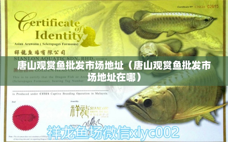 唐山觀賞魚(yú)批發(fā)市場(chǎng)地址（唐山觀賞魚(yú)批發(fā)市場(chǎng)地址在哪）