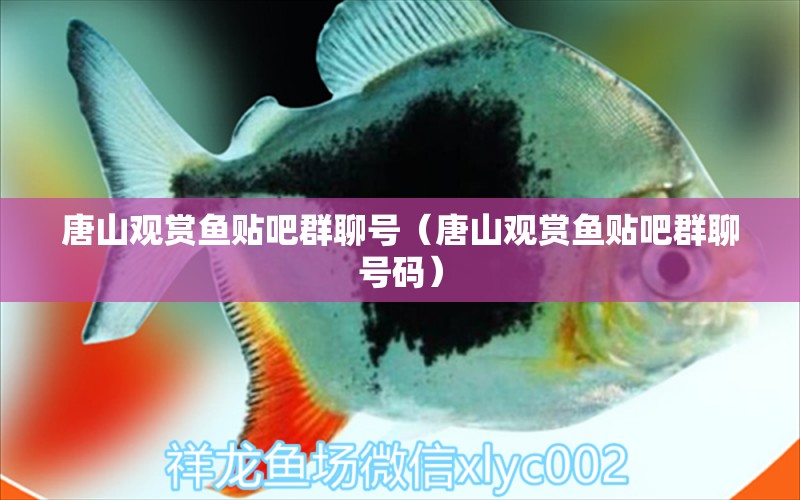 唐山觀賞魚(yú)貼吧群聊號(hào)（唐山觀賞魚(yú)貼吧群聊號(hào)碼）