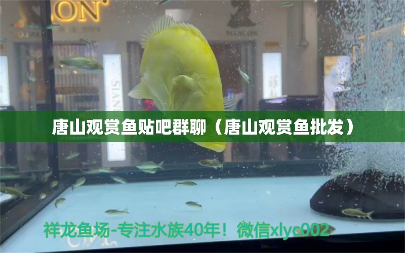 唐山觀賞魚貼吧群聊（唐山觀賞魚批發(fā)）