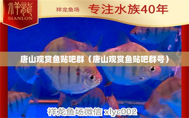 唐山觀賞魚(yú)貼吧群（唐山觀賞魚(yú)貼吧群號(hào)） 祥龍魚(yú)場(chǎng)