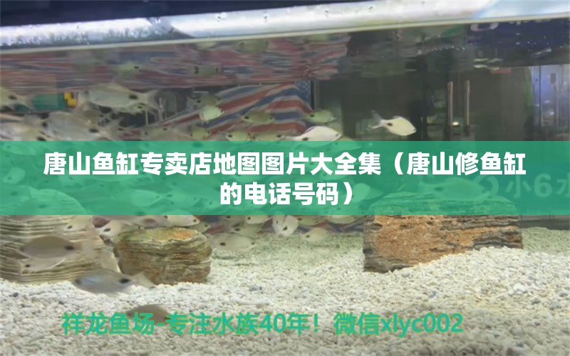 唐山魚缸專賣店地圖圖片大全集（唐山修魚缸的電話號碼）