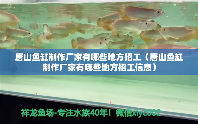 唐山魚缸制作廠家有哪些地方招工（唐山魚缸制作廠家有哪些地方招工信息） 大嘴鯨魚