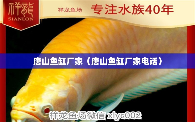 唐山魚缸廠家（唐山魚缸廠家電話） 其他品牌魚缸