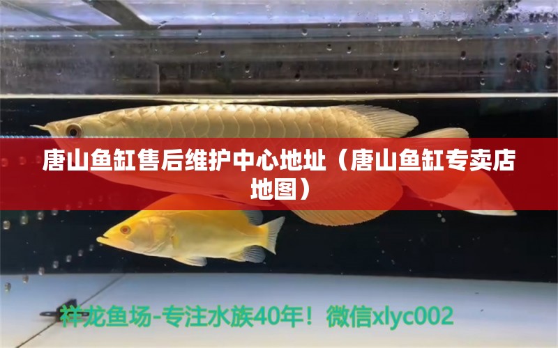 唐山魚缸售后維護中心地址（唐山魚缸專賣店地圖） 其他品牌魚缸