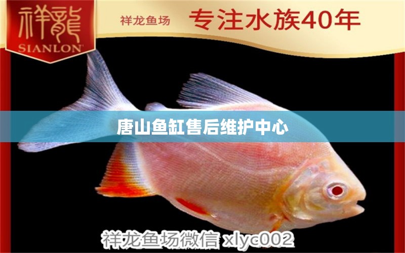 唐山魚缸售后維護(hù)中心