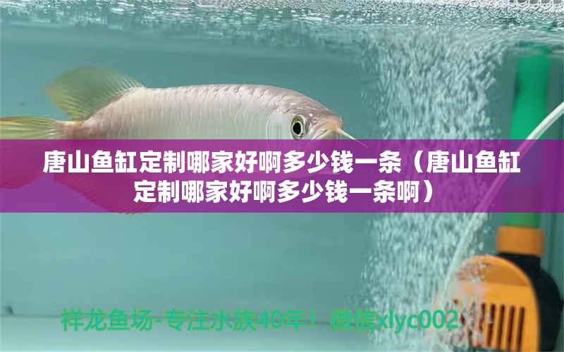 唐山魚缸定制哪家好啊多少錢一條（唐山魚缸定制哪家好啊多少錢一條?。?祥龍水族醫(yī)院