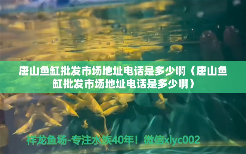 唐山魚缸批發(fā)市場地址電話是多少?。ㄌ粕紧~缸批發(fā)市場地址電話是多少啊）