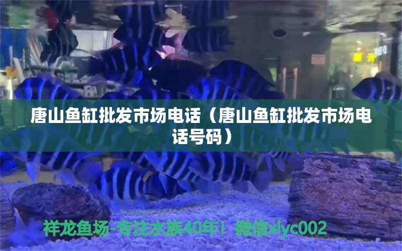 唐山魚缸批發(fā)市場(chǎng)電話（唐山魚缸批發(fā)市場(chǎng)電話號(hào)碼）