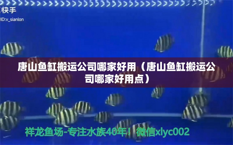 唐山魚(yú)缸搬運(yùn)公司哪家好用（唐山魚(yú)缸搬運(yùn)公司哪家好用點(diǎn)）