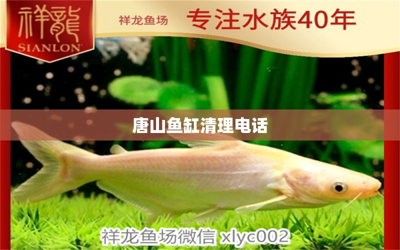 唐山魚缸清理電話 其他品牌魚缸