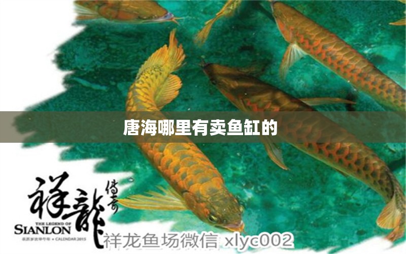 唐海哪里有賣魚缸的  黃寬帶蝴蝶魚