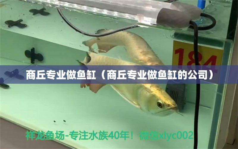 商丘專業(yè)做魚缸（商丘專業(yè)做魚缸的公司）