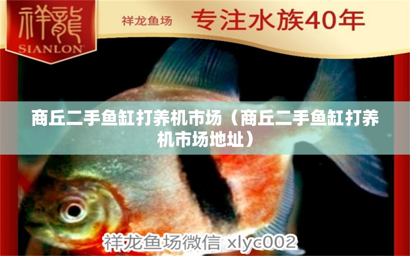 商丘二手魚缸打養(yǎng)機市場（商丘二手魚缸打養(yǎng)機市場地址）