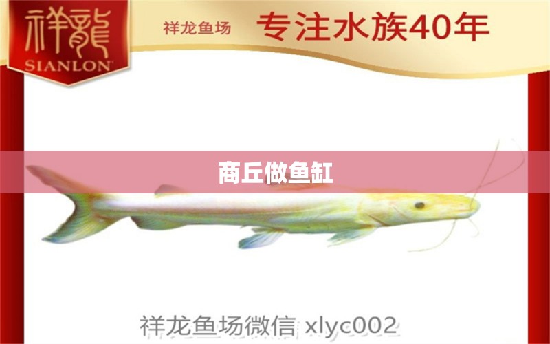 商丘做魚缸 其他品牌魚缸