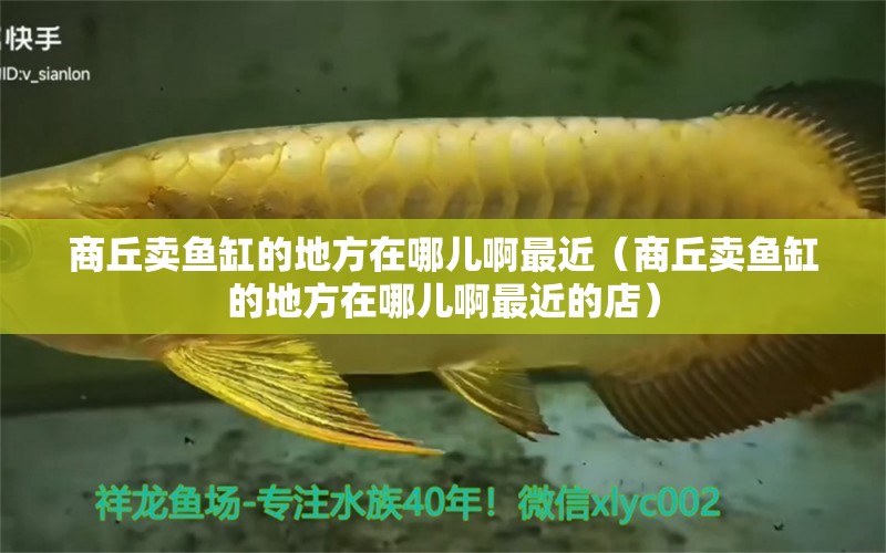 商丘賣魚缸的地方在哪兒啊最近（商丘賣魚缸的地方在哪兒啊最近的店）