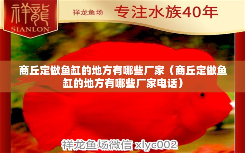 商丘定做魚缸的地方有哪些廠家（商丘定做魚缸的地方有哪些廠家電話）