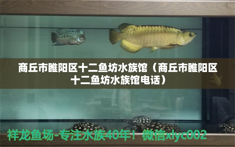 商丘市睢陽(yáng)區(qū)十二魚(yú)坊水族館（商丘市睢陽(yáng)區(qū)十二魚(yú)坊水族館電話）