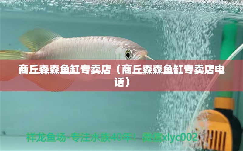 商丘森森魚缸專賣店（商丘森森魚缸專賣店電話）