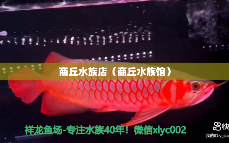 商丘水族店（商丘水族館） 觀賞魚(yú)市場(chǎng)