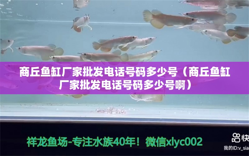 商丘魚缸廠家批發(fā)電話號碼多少號（商丘魚缸廠家批發(fā)電話號碼多少號?。? title=