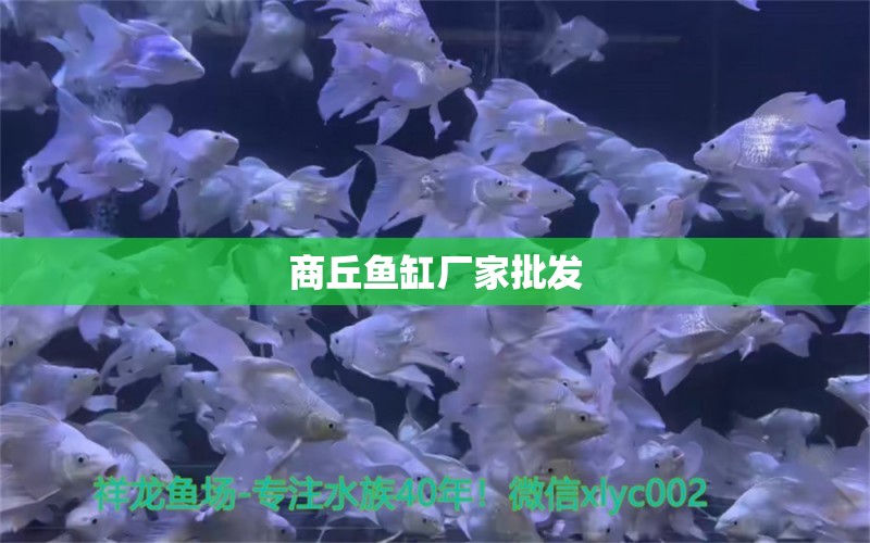 商丘魚缸廠家批發(fā) 其他品牌魚缸