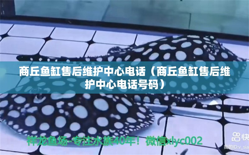 商丘魚缸售后維護中心電話（商丘魚缸售后維護中心電話號碼）