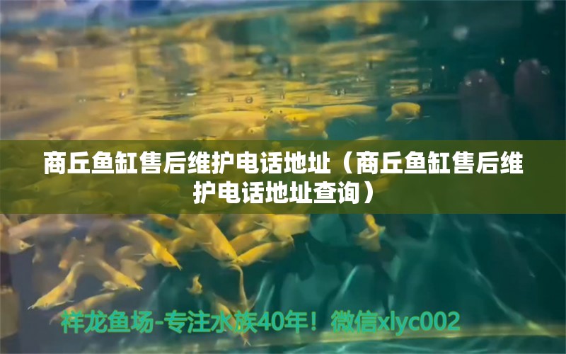 商丘魚缸售后維護電話地址（商丘魚缸售后維護電話地址查詢）