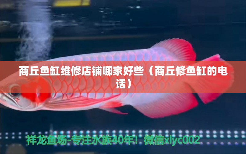 商丘魚缸維修店鋪哪家好些（商丘修魚缸的電話）